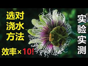 选对浇水方法，效率高10×！科学实测+6种高效/神奇浇水法