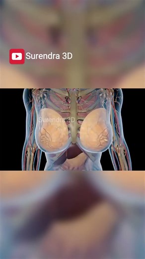 आपका जेंडर कौन तय करता है? मम्मी या पापा? सच्चाई दंग कर देगी!#genderfacts #shorts #biologyfacts