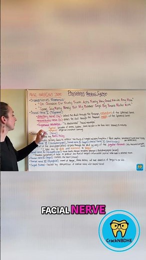 Facial Nerve & Bell's Palsy: Anatomy Explained! NBDHE Dental Hygiene Boards