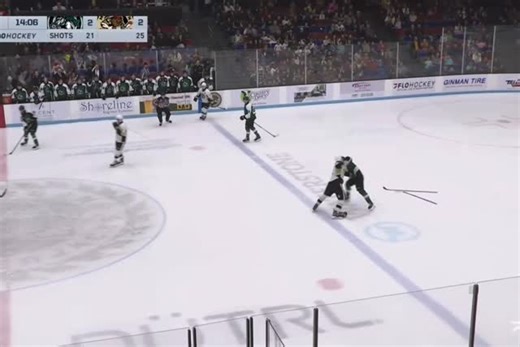 Dropem USHL on Instagram: "Fight 53 - 01.02.26 Ethan Piercy v. Anthony Thomas-Maroon Cedar Rapids RoughRiders v. Muskegon Lumberjacks #hockey #hockeyfights #ushl #ushlfights"