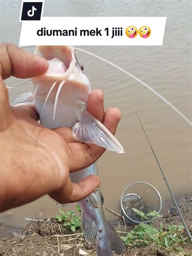 Micro Fishing Adventures in Mojokerto