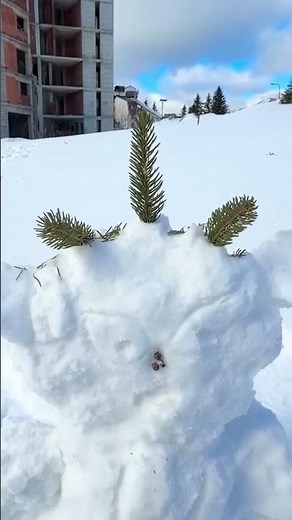 ĆAKI OD SNEGA