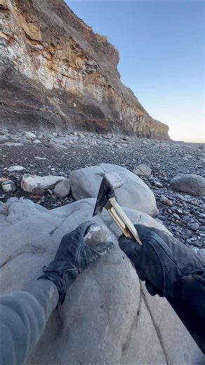 Aaron and Shae on Instagram: "We searched a Yorkshire beach for fossils and crystal and found a Jurassic Age ball of rock hidden within a huge loose boulder and opened it up with our geology hammer 🤯 We found an iridescent Dactylioceras semicelatum cephalopod fossil roughly 180 million years old 🏝️ You win some, you lose some! 🌅🦕 Thanks for supporting our page! 🐊 #fossilhunting #yorkshire #ammonite #beachcombing #fblifestyle"