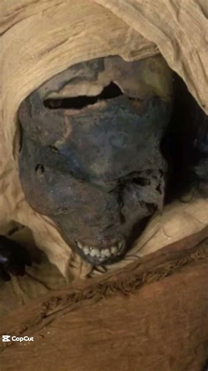 3500 years later, we finally know how he was killed. #mystery #pharaoh