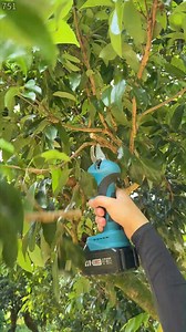 431 reactions · 41 shares | SEESII 2-in-1 Pole Pruning Shears — No ladder. No drama. Just cut! More details on: https://amzn.to/3Hpb9Jl #woodworking #woodcutting #seesii #powertools #cordlesstools #PruningShear #gardening #gardeningtips | SEESII | Facebook