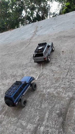 $100 rc car helping $200 rc car