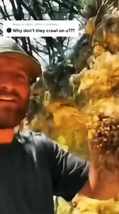 50K views · 18K reactions | No No No... #spider #daddy #long #leg #jacobysalliance #foryou #justforfun #funnyvideos #comedyvideos #lmao #lolz | Jacoby Ray | Facebook