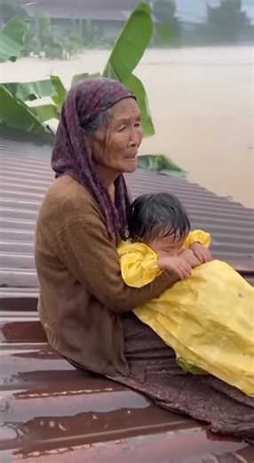 Thương lắm miền trung ơi... | Music VN