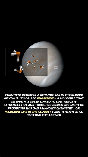 Scientists Found a Possible Sign of Life on Venus
