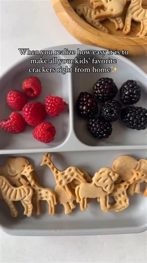 This animal crackers recipe is so simple to make with only 6 ingredients you likely already have on hand! They are egg-free and nut-free and lightly sweetened with maple syrup for a crunchy treat you won’t be able to stop snacking on! Grab the recipe below! https://feedingtinybellies.com/animal-crackers-recipe/ | Feeding Tiny Bellies | Facebook