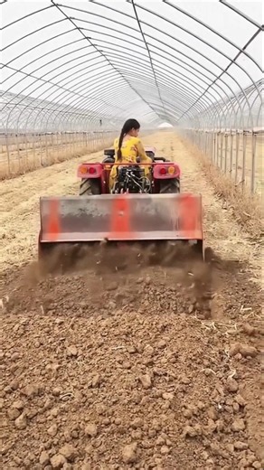 🌱One of the Biggest Challenges Farmers Face in Crop Cultivation 🚜🌾 | Kamran Official