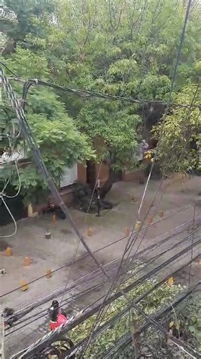 🔴 Personas de la Colonia Escandón salen de sus viviendas tras el microsismo que se registró hace unos minutos en la Ciudad de México Video: Roberto Puig | EL UNIVERSAL | El Universal Online