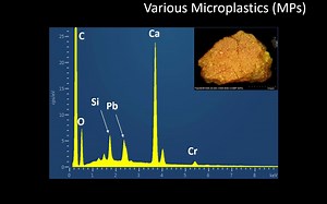 [电镜]各种微孔塑料（MP）的相关光和电子显微镜（CLEM）成像