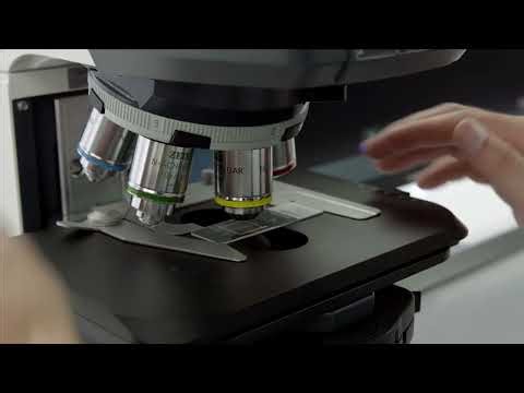 ZEISS Axioscope 5 avec Colibri 3 ou Axiolab 5 -Solution simple pour l'acquisition multicanal