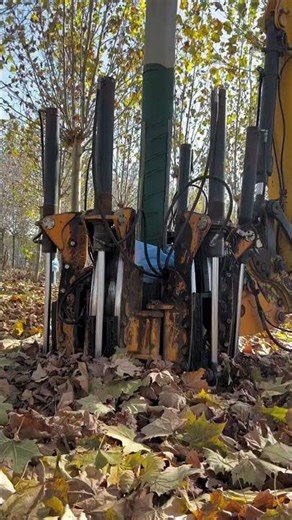 #TreeDiggingMachineRecommendation #NurseryTreeDiggingMachine #EvergreenTreeDiggingMachine #