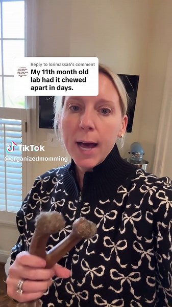 Best Dog Bones for Aggressive Chewers Reviewed