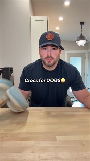 BarkBox Crocs for Dogs: The Ultimate Dog Shoe
