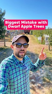 🍎 What kind of apples are YOU growing? 🍏👇 Most people don’t realize that grafted trees have a rootstock that plays a huge role in how they grow! 🌳 Dwarf apple trees are actually two trees in one with the scion on top and the rootstock below. That small root system keeps them compact but also means they need SUPPORT or they’ll topple once the fruit comes in! 💪🍎 Big shoutout to Windy Hill Orchard and Cider Mill for showing how it’s done right with their beautiful trellised apple trees! 🙌🍏