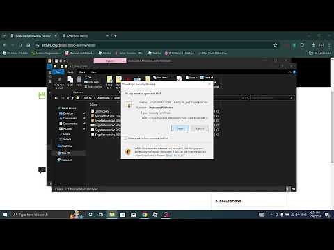 How to download Sonic Dash on pc! (download link in description)
