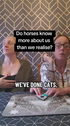 The Spiritual Purpose of Horses: Understanding Their Connection