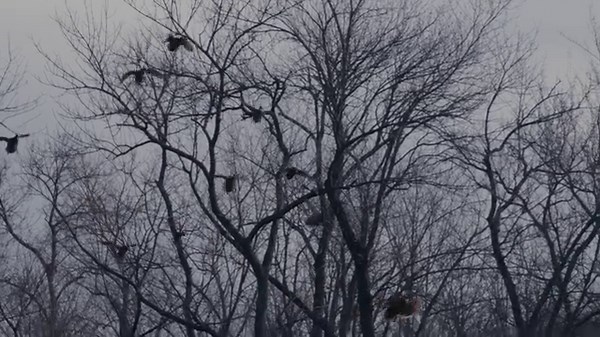 20 reactions | The Delta Wading System from SITKA Gear is a...