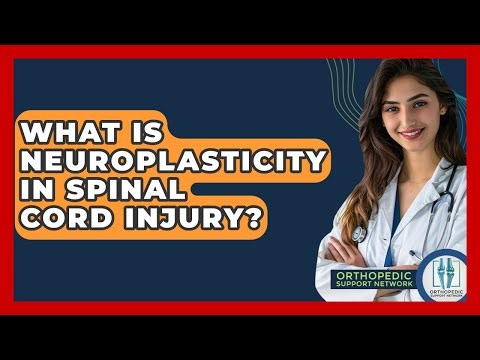 What Is Neuroplasticity In Spinal Cord Injury? - Orthopedic Support Network