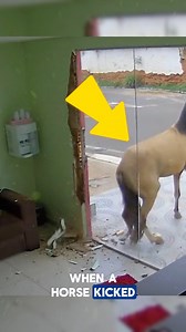 181K views · 655 reactions | Why Tempered Glass Is Built to Resist...