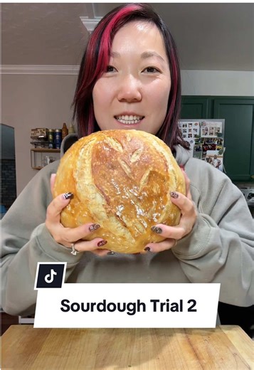 Successful Sourdough Bread Machine Recipe