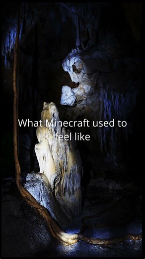 #catmeme