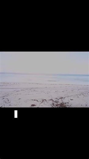 Hear from STC’s Executive Director David Godfrey about the importance of the Archie Carr National Wildlife Refuge for loggerhead sea turtles! #LoggerheadDay #SeaTurtleWeek | Sea Turtle Conservancy