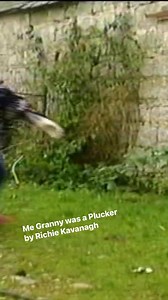 Me Granny was a Plucker by Richie Kavanagh | Richie Kavanagh
