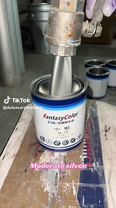 Stunning Pearl Silver Car Paint Finishes