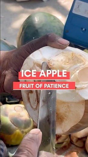 This Hidden Indian Fruit Grows on 100-Year-Old Trees. Secret fruit