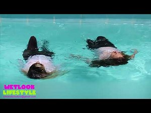 This is how Latina girls swim #latina #swimming #vlog