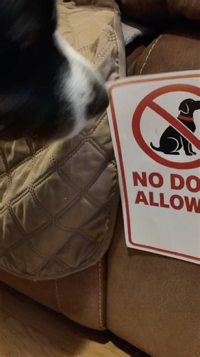 They Put Up a “No Dogs Allowed” Sign…