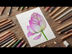 Realistic Rose Drawing with Colored Pencils | Step-by-Step Tutorial