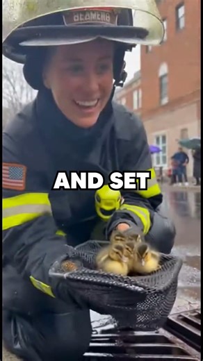 These ducklings were saved by these firefighters...🦆