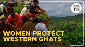 2.3K views · 83 reactions | The Western Ghats are one of the world's...