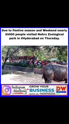 Dw News Hyderabad on Instagram: "Nehru Zoological Park, #Hyderabad Today, on the occasion of #Christmas and general #holidays about 23,440 visitors visited Nehru Zoological Park, Hyderabad. As expected from the earlier years visitation, this year also more no of visitors shown interest in visiting the Zoo. The Zoo management deputed all the officers on duty at different locations for the smooth and peaceful functioning, adequate drinking water units has been arranged, additional security guards 
