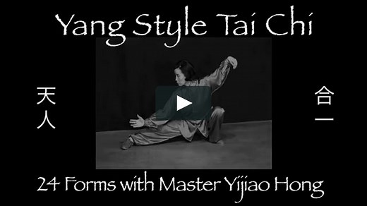 Tai Chi 24 Forms in 2 Views, with Master Yijiao Hong, International Tai Chi Grand Champion