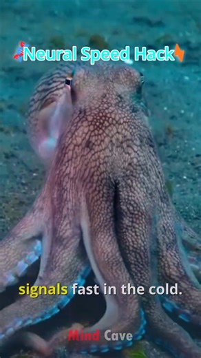 The Self Editing Octopus Secret🧬🐙