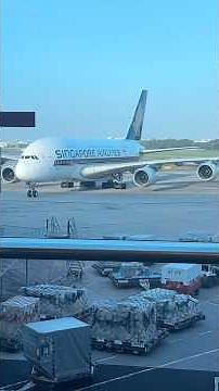 🇸🇬 Arrive Singapore Airlines Airbus A380 Changi Airport Terminal 3 #aviation