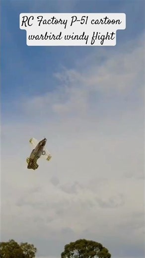 Windy day flight with the cartoon warbird. radio controlled aircraft flying in the park rc factory