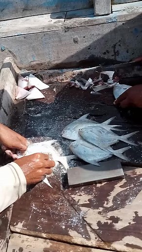 Fishing Technique: Cleaning Freshly Caught Fish