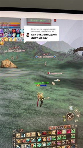 Lineage 2 Interlude: A Deep Dive into Gameplay