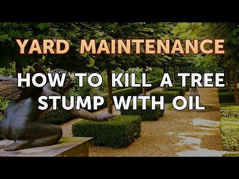 How to Kill a Tree Stump With Oil