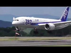 高松空港　ランディング　JAL機 B737-846 (JA348J)　ANA機 B787-8 Dreamliner (JA817A)