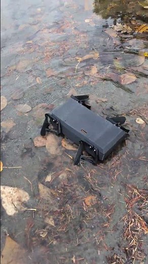 Can Turtle Robot Swim?#robot