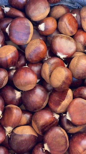 Nothing says fall like the smell of freshly roasted chestnuts! 🌰🔥 Here’s how to roast them right at home - simple, cozy, sweet and delicious. #Chestnuts #FallFlavors #RoastedChestnuts #AutumnVibes #HowToRoastChestnuts #ChestnutSeason #FarmToTable #UnionSquareGreenmarket | Lavender By the Bay