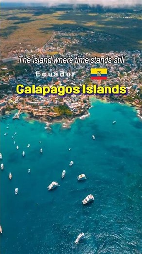 Galapagos, where time stands still #looktrip #travel #galapagos #island